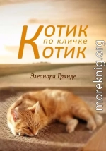 Котик по кличке Котик