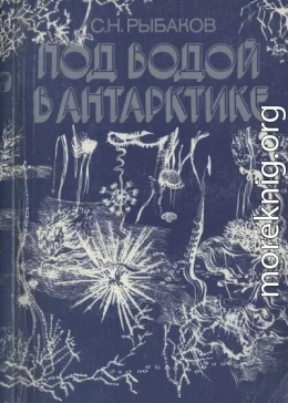 Под водой в Антарктике