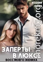 Заперты в люксе. Босс моего жениха