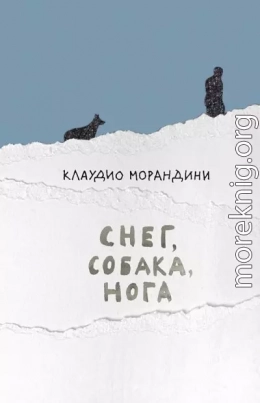 Снег, собака, нога