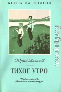 Тихое утро [авторский сборник]