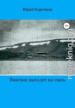 Пингвин выходит на связь