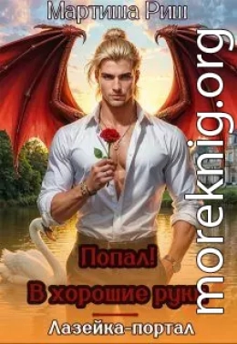 Попал! В хорошие руки. Лазейка-портал