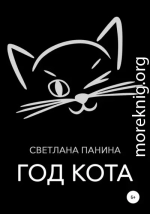 Год Кота