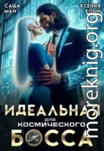 Идеальная для космического босса