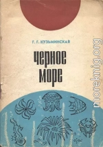 Черное море