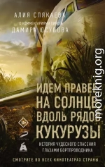 Идем правее, на солнце, вдоль рядов кукурузы. История чудесного спасения глазами бортпроводника