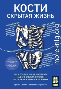 Кости: скрытая жизнь. Все о строительном материале нашего скелета, который расскажет, кто мы и как живем