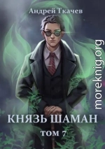 Князь шаман. Том 7