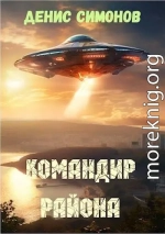 Командир района