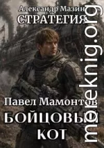 Бойцовый кот