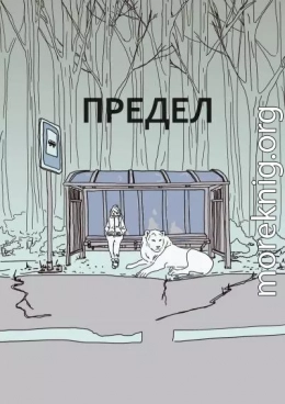 Предел (СИ)