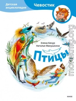Птицы. Детская энциклопедия