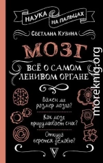 Мозг. Всё о самом ленивом органе