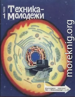 Мотоциклы. Историческая серия ТМ. 1989