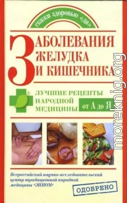 Заболевания желудка и кишечника. Лучшие рецепты народной медицины от А до Я