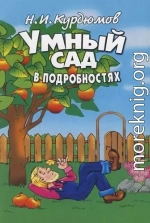 Умный сад в подробностях