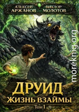 Друид. Жизнь взаймы