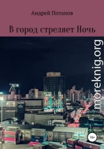 В город стреляет Ночь