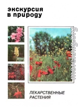 Экскурсия в природу. Лекарственные растения. Выпуск 1