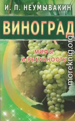 Виноград. Мифы и реальность