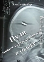 Пуля многое переворачивает в голове