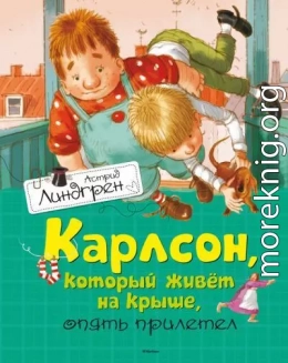 Карлсон, который живет на крыше, опять прилетел