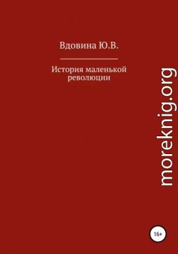 История маленькой революции