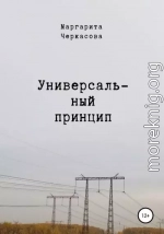 Универсальный принцип