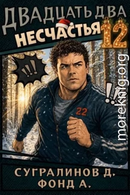 Двадцать два несчастья. Том 12