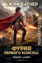 Фурия Первого консула