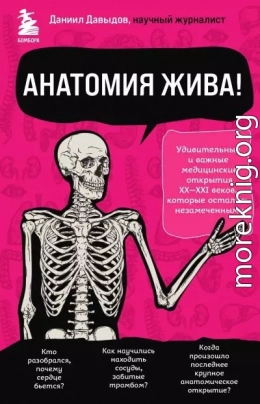 Анатомия жива! Удивительные и важные медицинские открытия XX-XXI веков, которые остались незамеченными