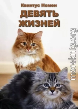 Девять жизней