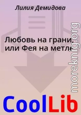 Любовь на грани, или Фея на метле