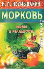 Морковь. Мифы и реальность