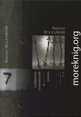 Том 7 (дополнительный)