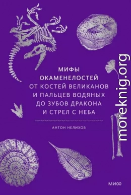 Мифы окаменелостей