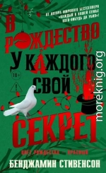 В Рождество у каждого свой секрет