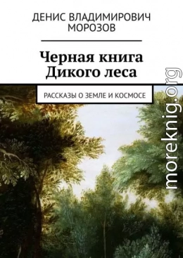 Черная книга Дикого леса