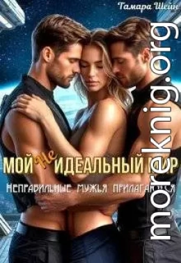 Мой (не)идеальный мир. Неправильные мужья прилагаются