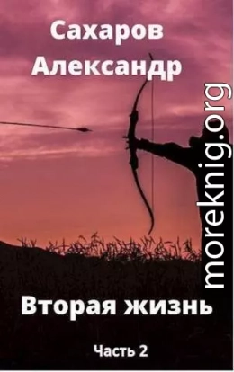 Вторая жизнь - книга вторая (СИ)