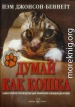 Думай как кошка