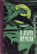 В дебрях времени