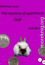 The mystery of apartment theft