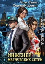 Инженер магических сетей 4