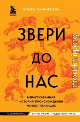 Звери до нас. Нерассказанная история происхождения млекопитающих