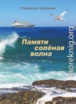 Памяти солёная волна