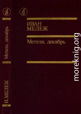 Метели, декабрь