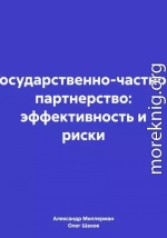 Государственно-частное партнерство: эффективность и риски