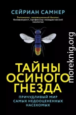 Тайны осиного гнезда. Причудливый мир самых недооцененных насекомых